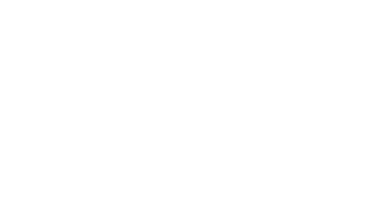 wordpress : 